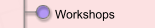 Workshops