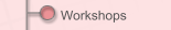 Workshops